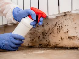 Why You Should Choose Our Mold Remediation Services in (206) 803-13630